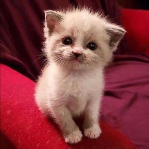 Meet your Posher, Madison